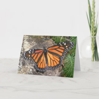 Monarch  Butterfly Birthday Card
