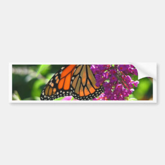 Monarch Butterfly Bumper Sticker