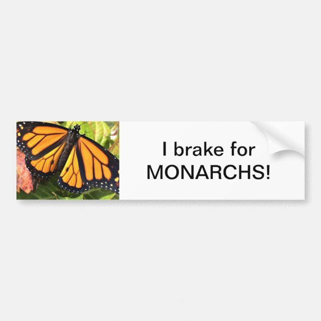 Monarch Butterfly - Bumper Sticker (Front)