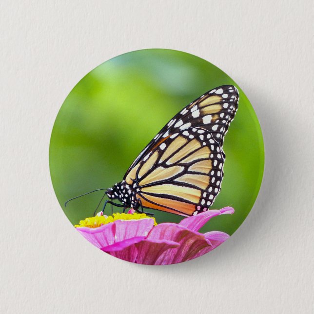 Monarch Butterfly Button (Front)