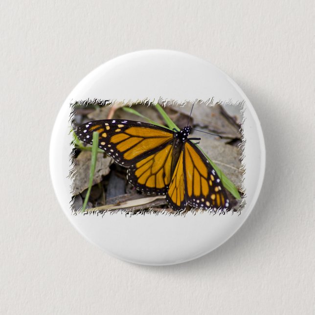 Monarch Butterfly Button (Front)