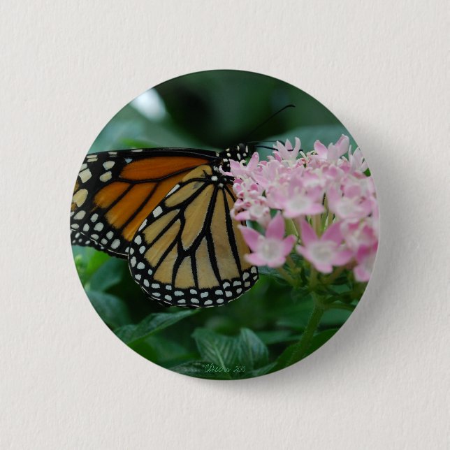 Monarch Butterfly Button Pin (Front)
