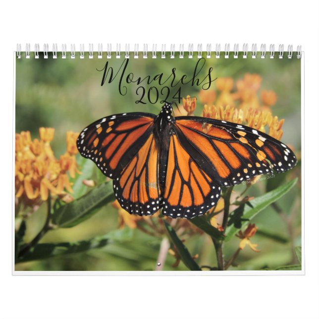 Monarch Butterfly Calendar (Cover)