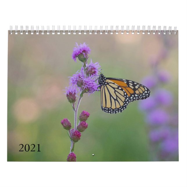 Monarch Butterfly Calendar (Cover)