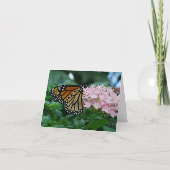 Monarch Butterfly Card (Front)