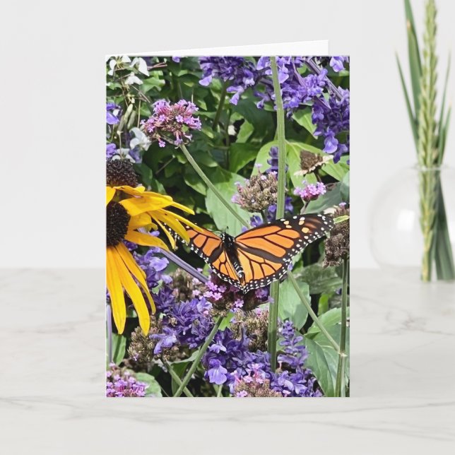 Monarch Butterfly Card (Front)
