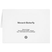 Monarch Butterfly Cards (Back Horizontal)