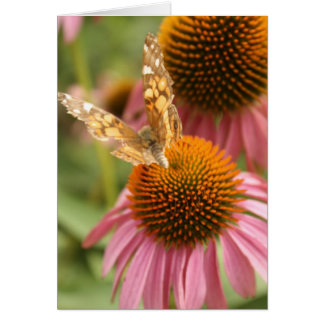 Monarch Butterfly Cards