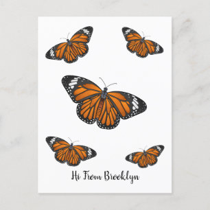 Monarch butterfly cartoon illustration  postcard
