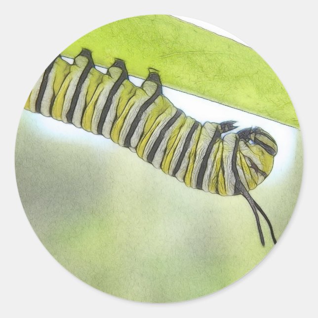 Monarch Butterfly Caterpillar Exploring A Milkweed Classic Round Sticker (Front)