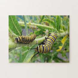 Monarch Butterfly Caterpillar Insect Jigsaw Puzzle