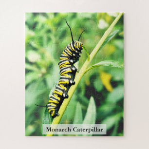 Monarch Butterfly Caterpillar on Swan Plant 56 Pcs Jigsaw Puzzle