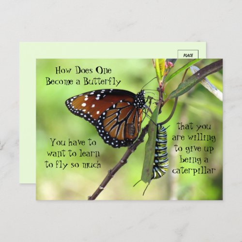 Monarch Butterfly  Caterpillar Quote Postcard