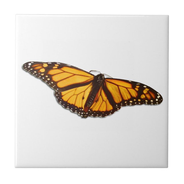 Monarch Butterfly Ceramic Tile (Front)