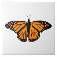 Monarch butterfly
