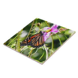 Monarch Butterfly Ceramic Tile
