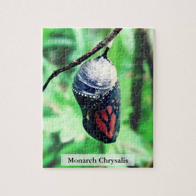Monarch Butterfly Chrysalis Before Hatching 110Pcs Jigsaw Puzzle (Vertical)