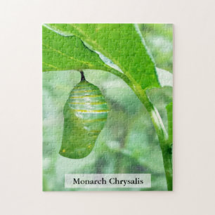 Monarch Butterfly Chrysalis Hardening Stage 252Pcs Jigsaw Puzzle