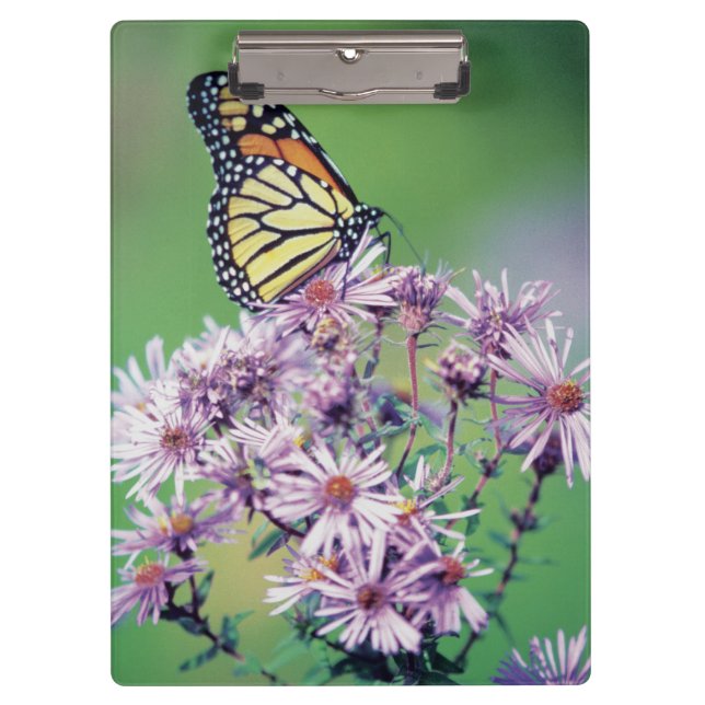 Monarch Butterfly Clipboard (Front)