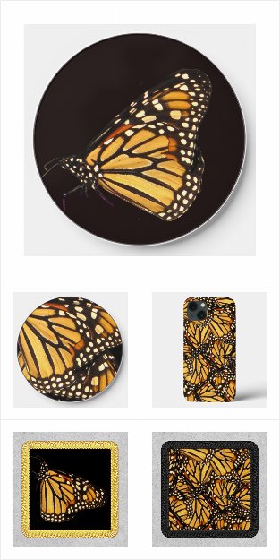 Monarch Butterfly Clothing and Accessories
