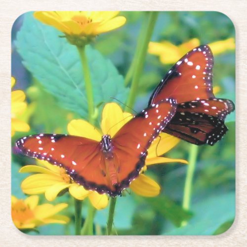 Monarch Butterfly _ Coaster