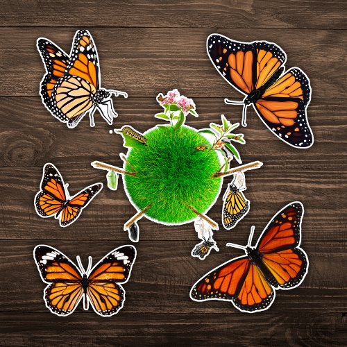 Monarch Butterfly Collection Life Cycle Contour  Sticker