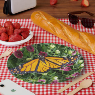 Monarch Butterfly on Paper Plates