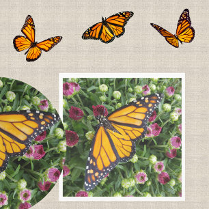 Monarch Butterfly Colorful Garden Floral Napkins