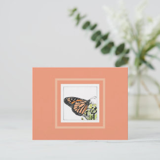 Monarch Butterfly (Colorized) Postcard