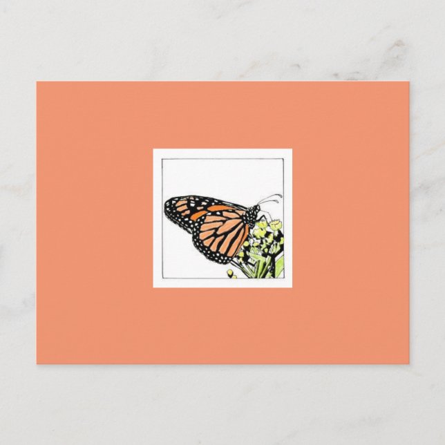 Monarch Butterfly (Colorized) Postcard (Front)
