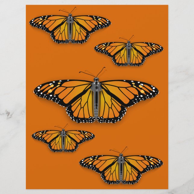 Monarch Butterfly Craft Paper (Front)
