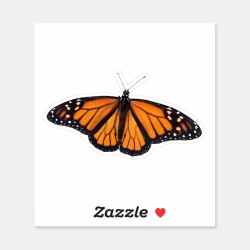 Monarch Butterfly Custom_Cut Vinyl Sticker