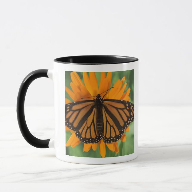 Monarch butterfly (Danaus plexippus) on pot Mug (Left)