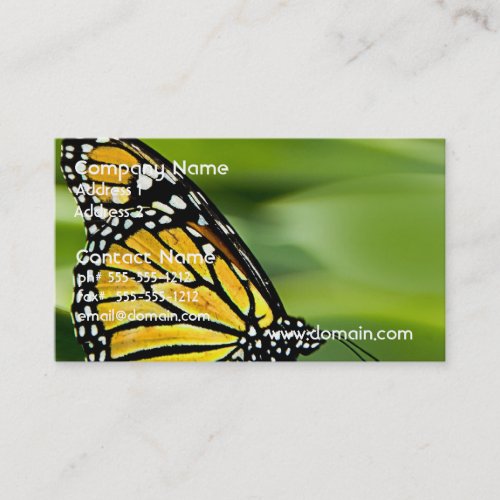 Monarch Butterfly Design Business Cards