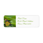 Monarch Butterfly Design Mailing Labels