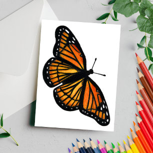 Monarch Butterfly Drawing Colored Pencil Postcard