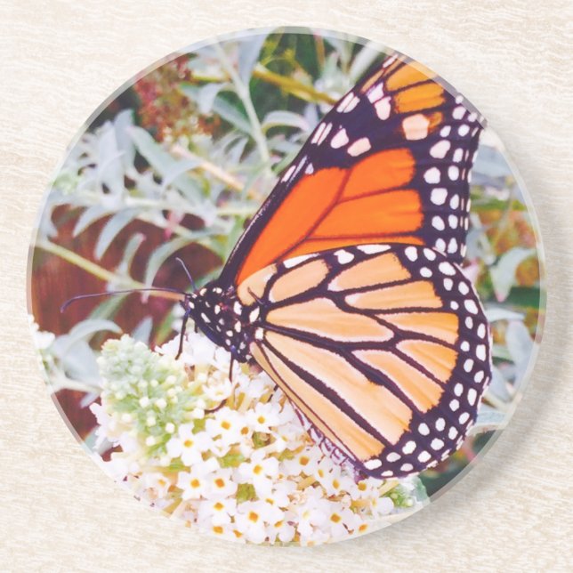 Monarch Butterfly Drink Coaster (Front)