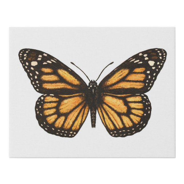 Monarch butterfly faux canvas print (Front)