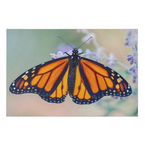 Monarch Butterfly Faux Canvas Print