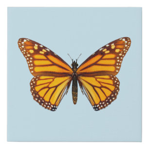 Monarch Butterfly Faux Canvas Print