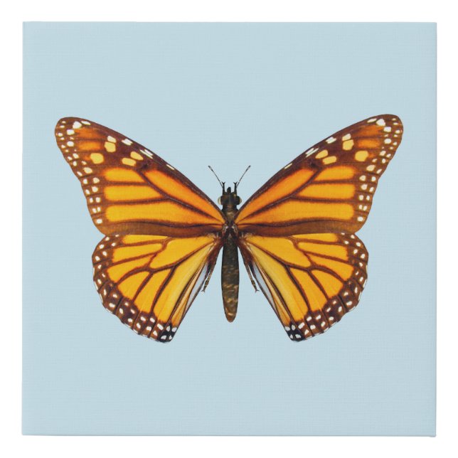 Monarch Butterfly Faux Canvas Print (Front)