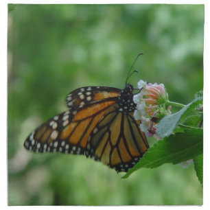 Monarch Butterfly Flower Cloth Napkins set of 4
