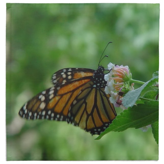 Monarch Butterfly Flower Cloth Napkins set of 4 (Front)