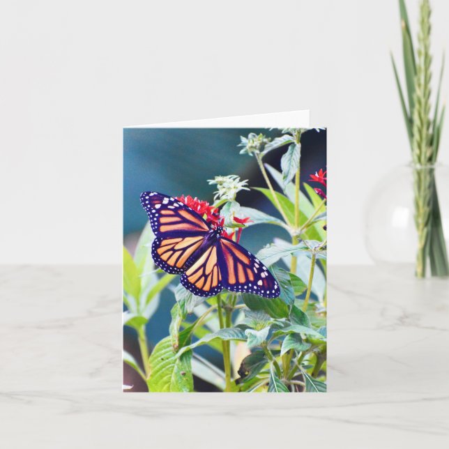 Monarch Butterfly Folded Note Card (Front)