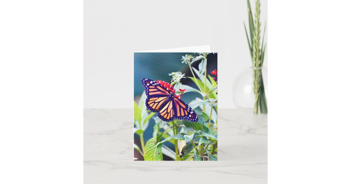 Monarch Butterfly Folded Note Card | Zazzle