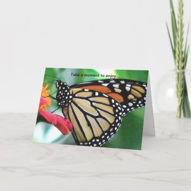 Monarch Butterfly for Nature Lovers Birthday Card (Front)