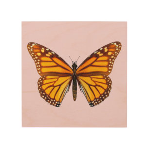 Monarch Butterfly Garden Nature Wall Art