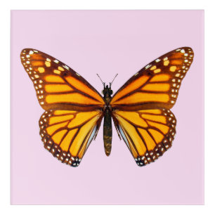 Monarch Butterfly Garden Nature Wall Art