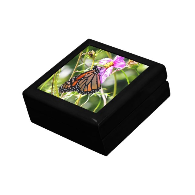 Monarch Butterfly Gift Box (Side)