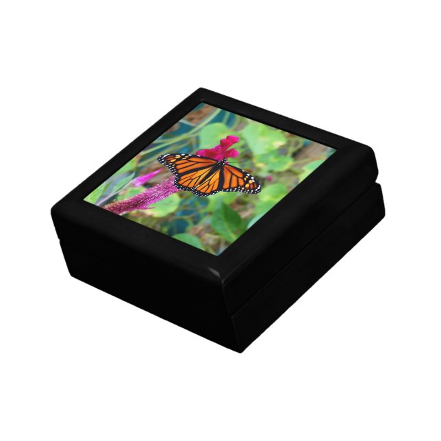 Monarch Butterfly Gift Box (Side)